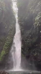 You should see how clear the water is here i would love to swim in