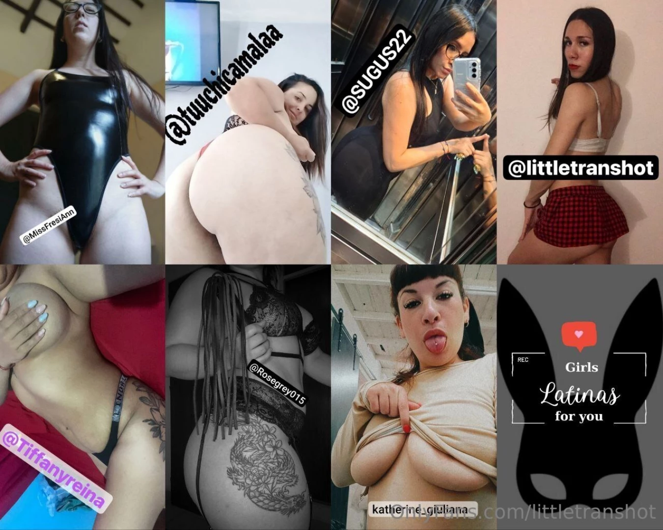 Hey loser follow my friends and give them a tribute missfresiann 