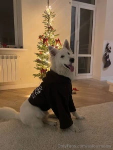 The holiday spirit is still alive and well here have you put your