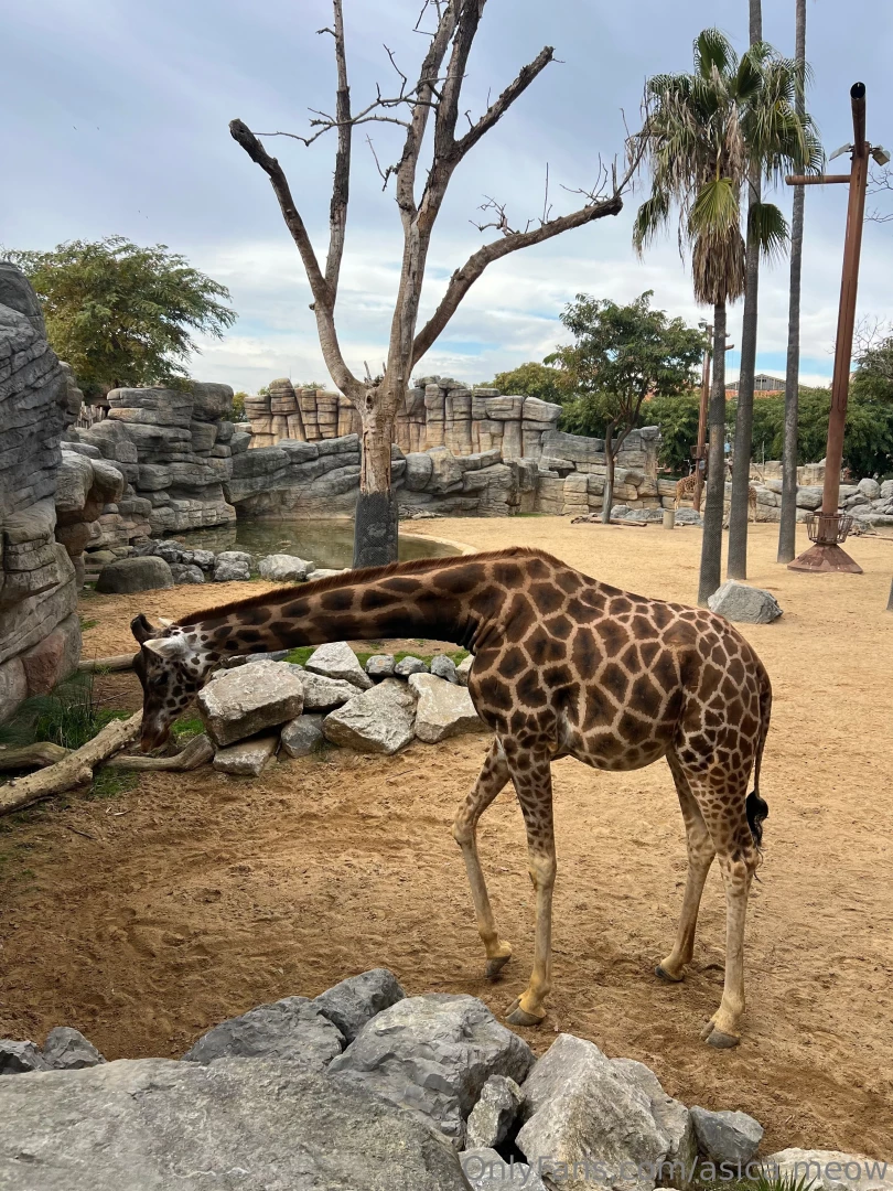 One more dream come true 