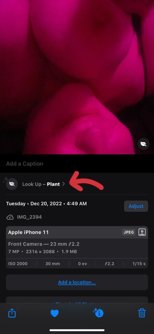 Wtf apple photos i m not a plant 