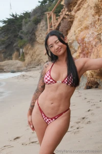 I ve got a very special announcement coming tomorrow so get your big