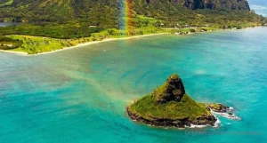 Hawaii here i come remember i only send my content to my vips if you