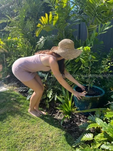 Planting some fruit trees gardening is one of my hobbies what s yours