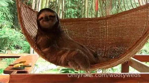 On vacation this weekend but i ll still be on here answering dm s