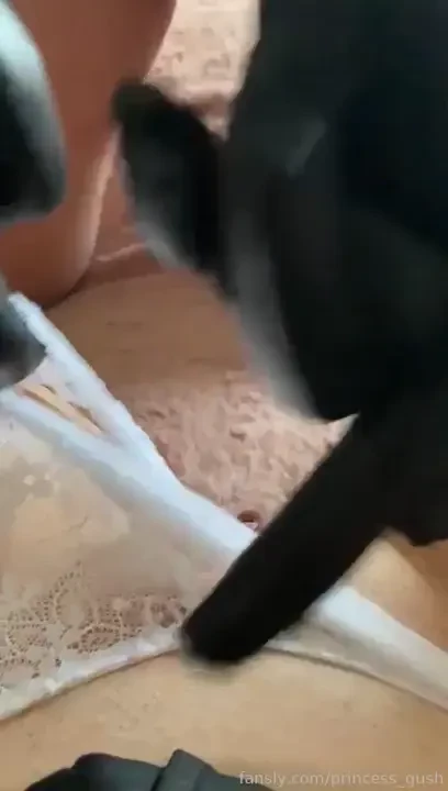 I stuff my bitches dirty panties up her dirty pussy 