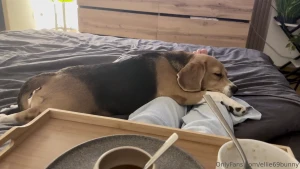 Should i even try to get up now or just accept my fate