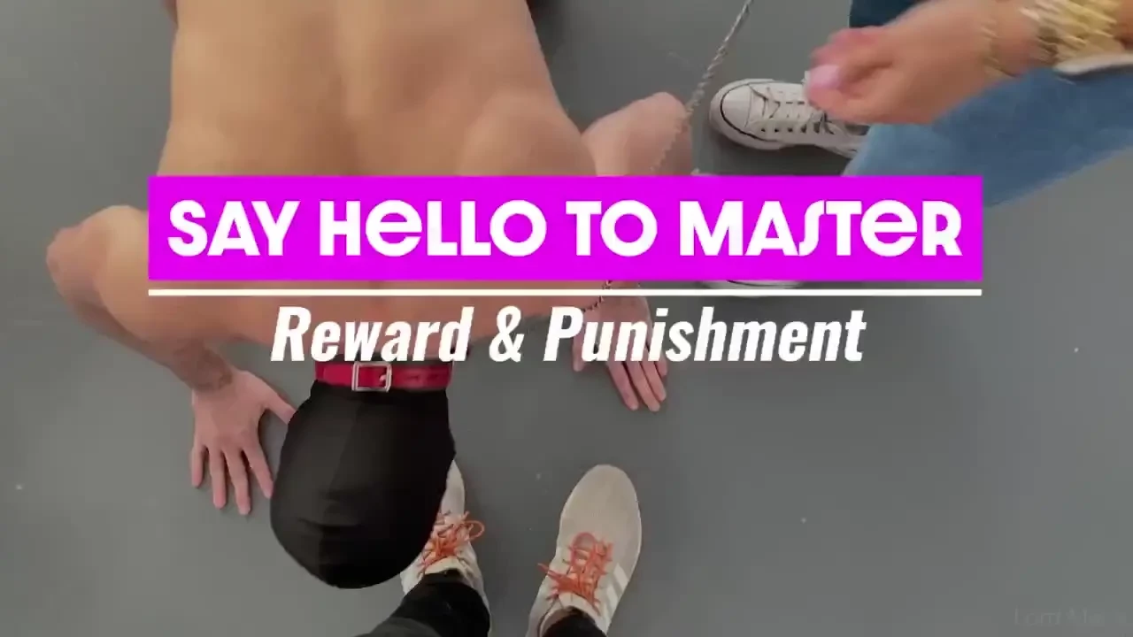 Say hello to master reward and punishment - new cuck pet play scene 