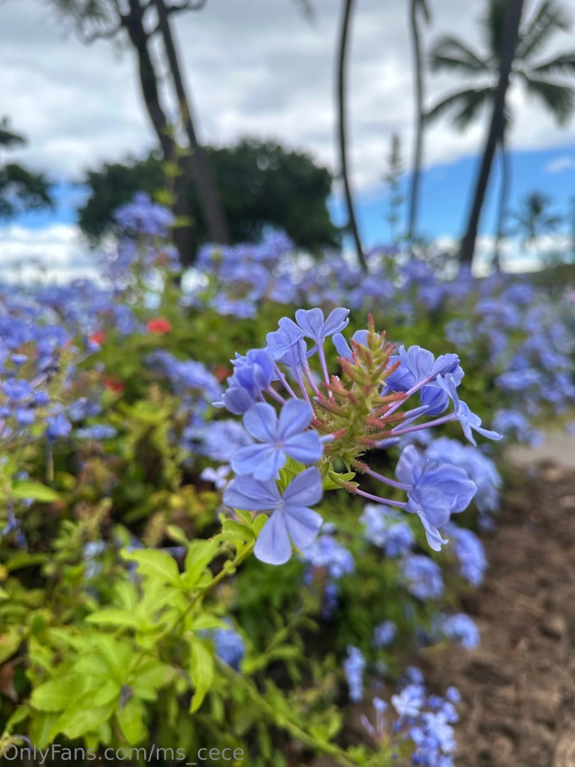 Last beach day before fall 