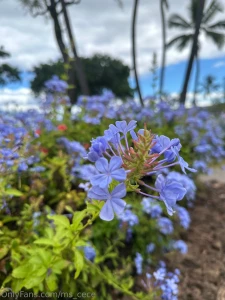 Last beach day before fall