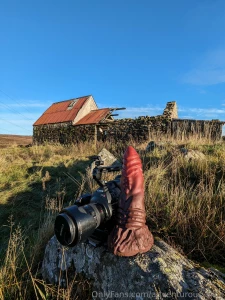 Realmissyalice part 73609