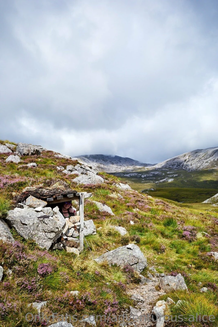 Realmissyalice part 73981 