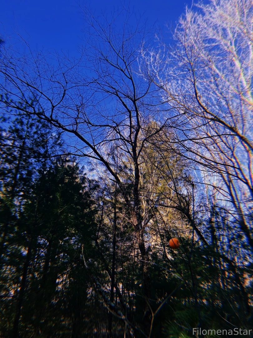 Nature is cool 