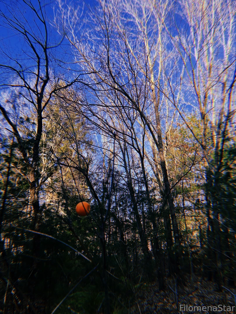 Nature is cool part 1 