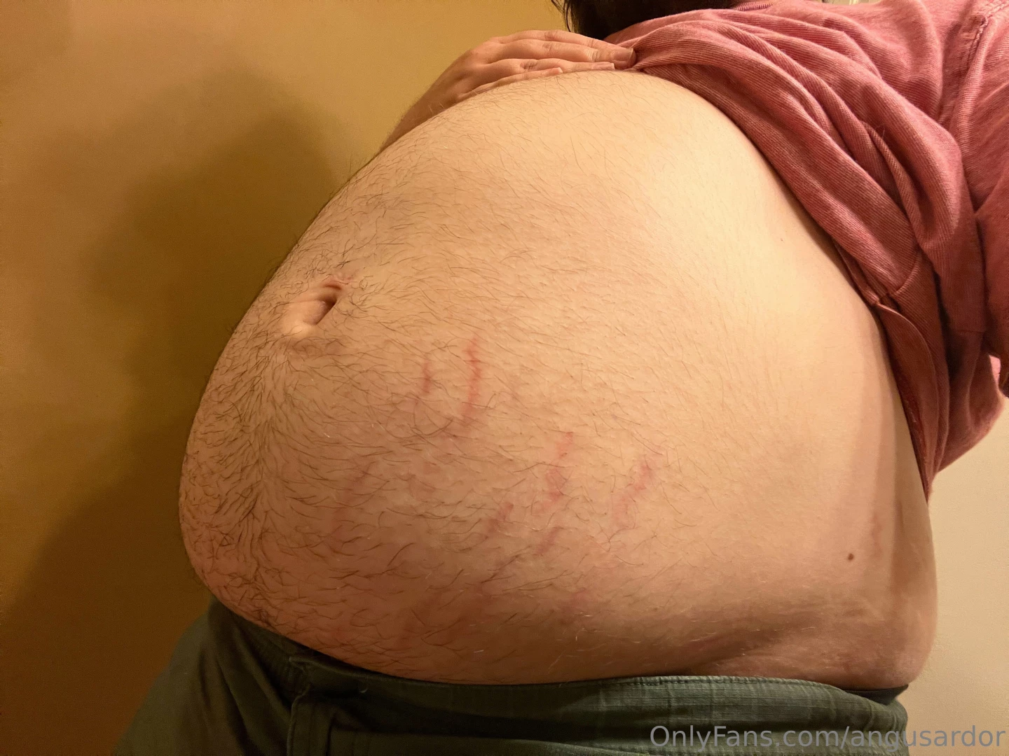 After eating a whole pizza and a liter of coke someone please make me part 2 