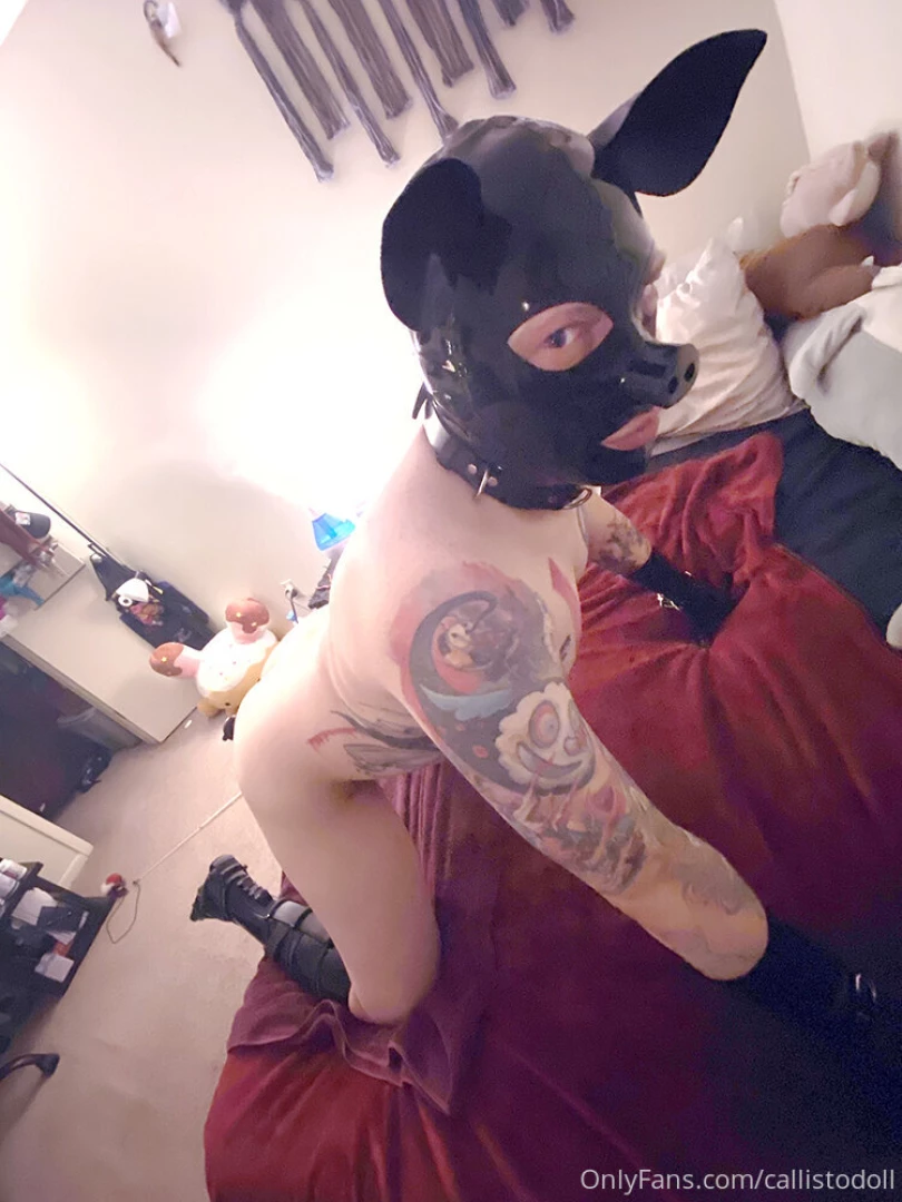 Just a quick piggy update cause i haven t updated in a while rubber 