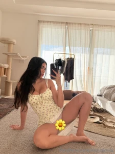 De-fl wering is for the dms p