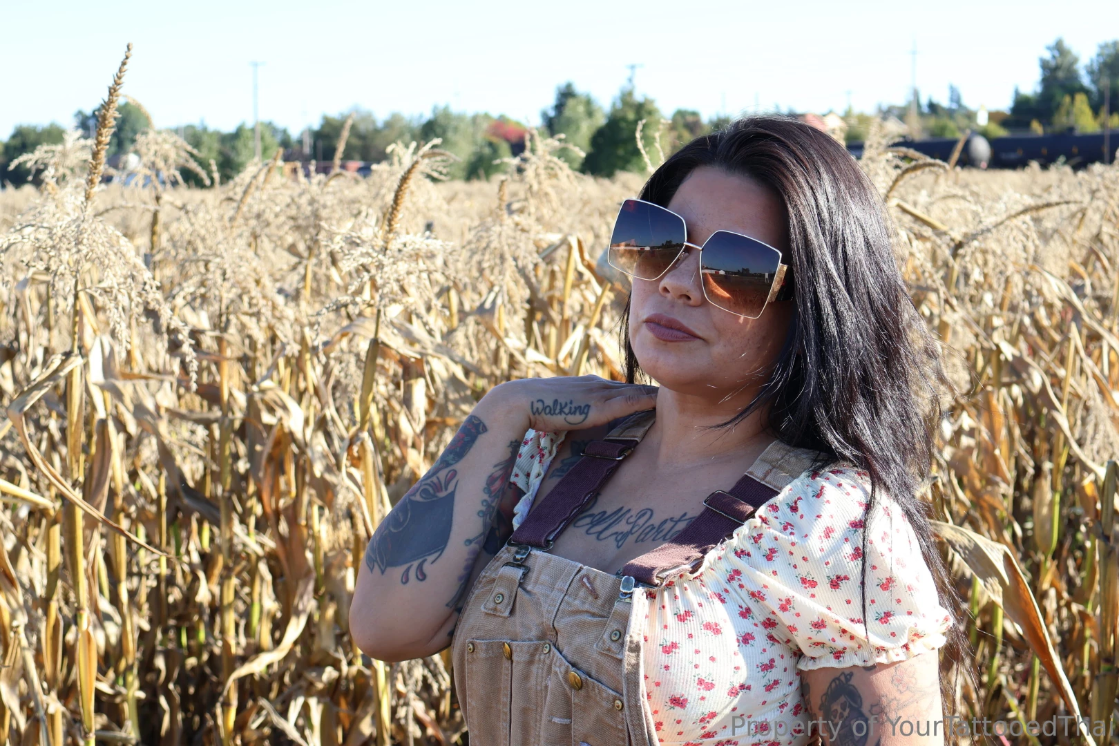 Getting excited for fall and all the cozy content i m gonna make 