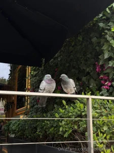 ____ ____ food love and art nbsp sometimes i feel like i haven t just