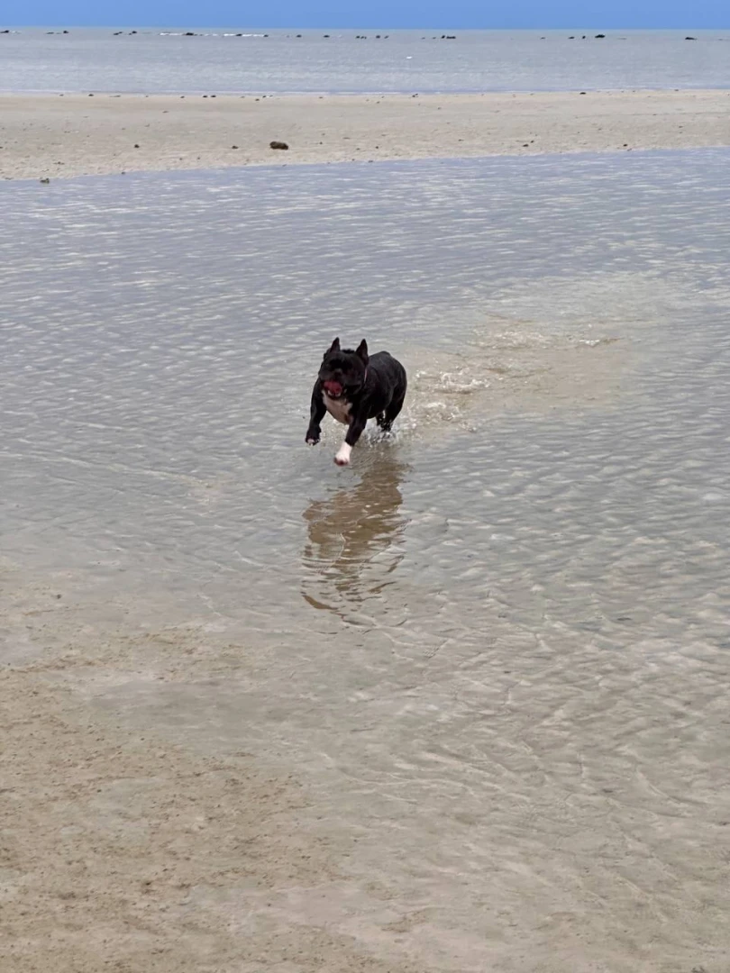 Some of you have been wondering where s freya do i drag her through part 2 