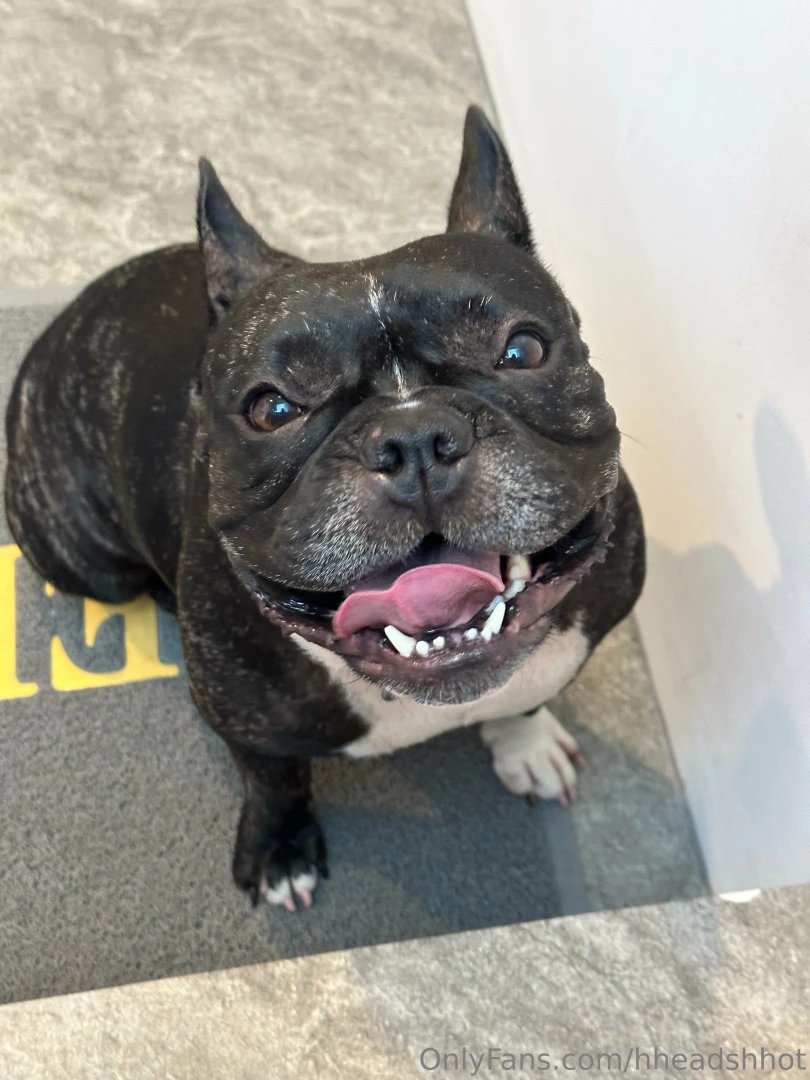 Some of you have been wondering where s freya do i drag her through 