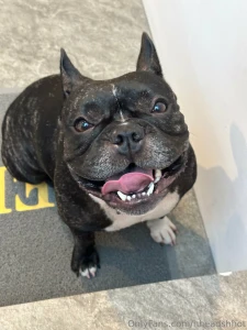 Some of you have been wondering where s freya do i drag her through