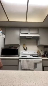 Stream started at 03 01 2024 03 13 am