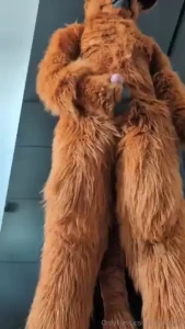 Did you miss me another visit from your best furry friend beefjerky