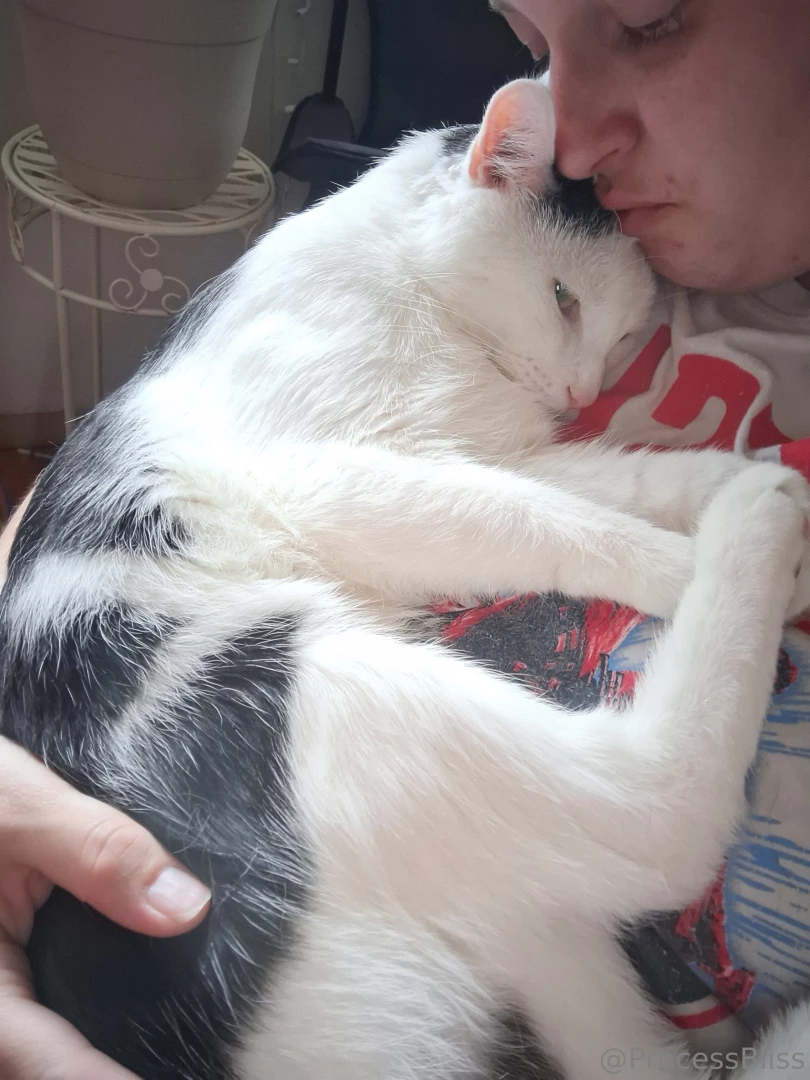 Kitty photo shoot of cuddles he wanted booba time yesterday part 2 
