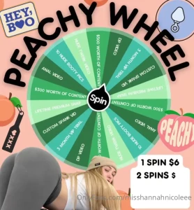 misshannahnicoleee - Peachy wheel if you re a fan of my peach this is the wheel for you 1 