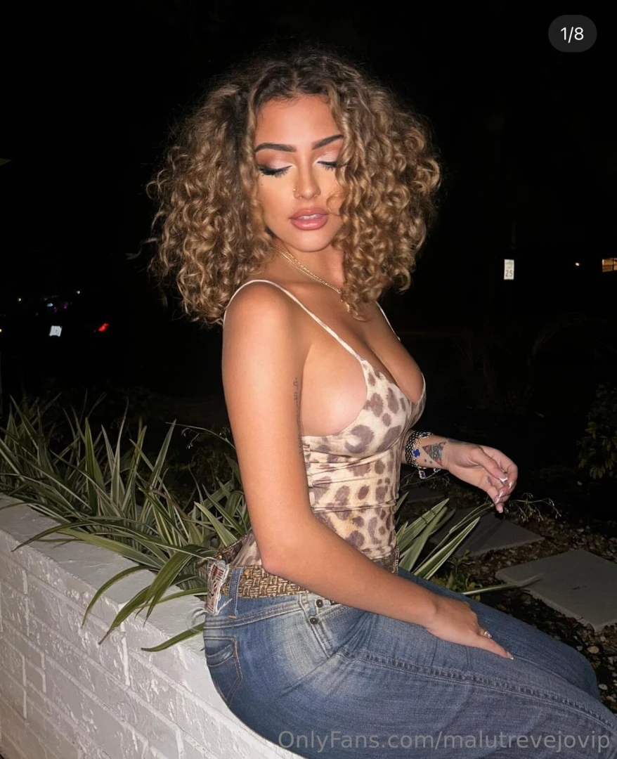 Bringing cheetah back 