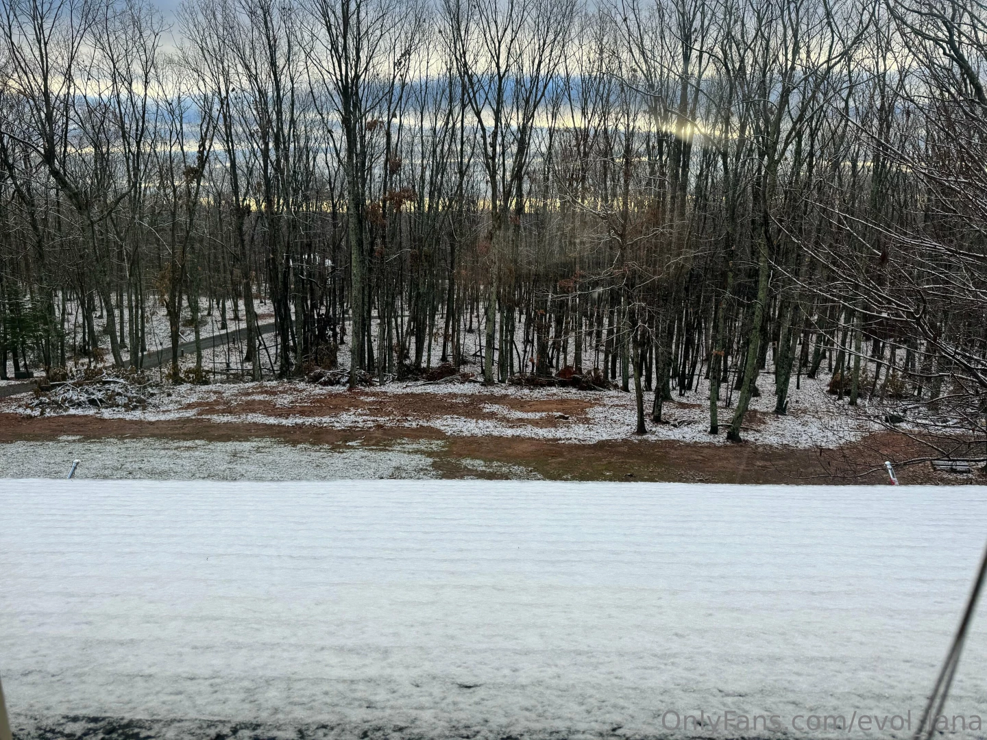 Good morning my loves it snowed here well sprinkled frozen rain but part 2 