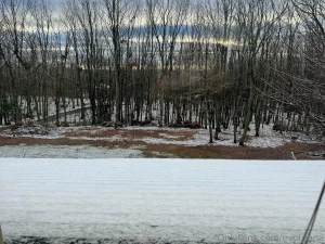 Good morning my loves it snowed here well sprinkled frozen rain but part 2