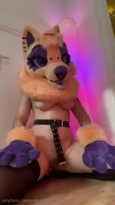 Pretty puppy toe beans these socks are the cutest i need more pairs in 