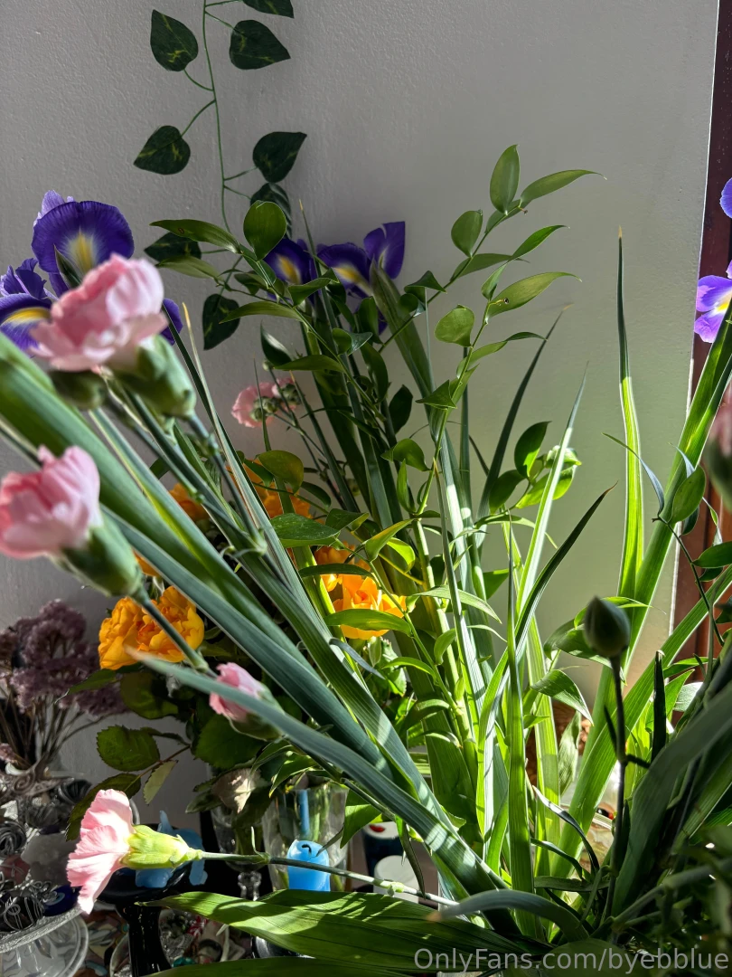 Life recently part 3 