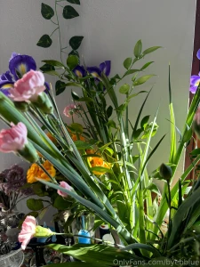 Life recently part 3