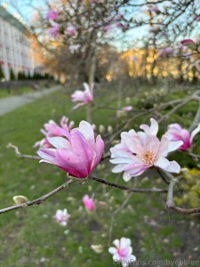 Life recently part 7