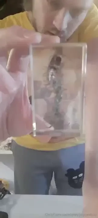 It can get a lot bigger 