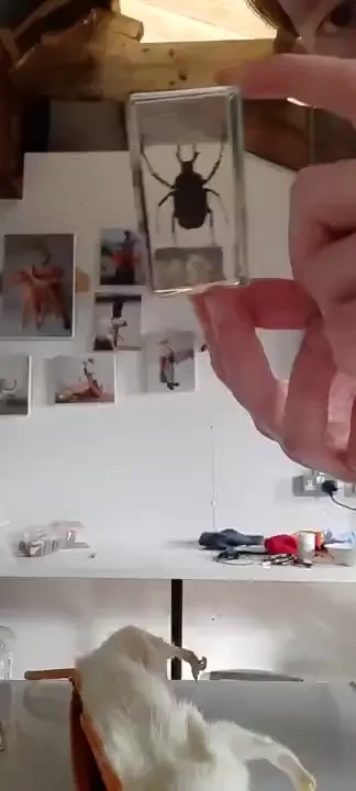 The last festive sack video of 2023 i hope that was enough for you 