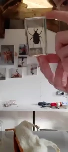 The last festive sack video of 2023 i hope that was enough for you