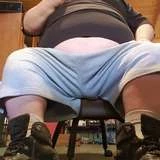 pigsareawsome1