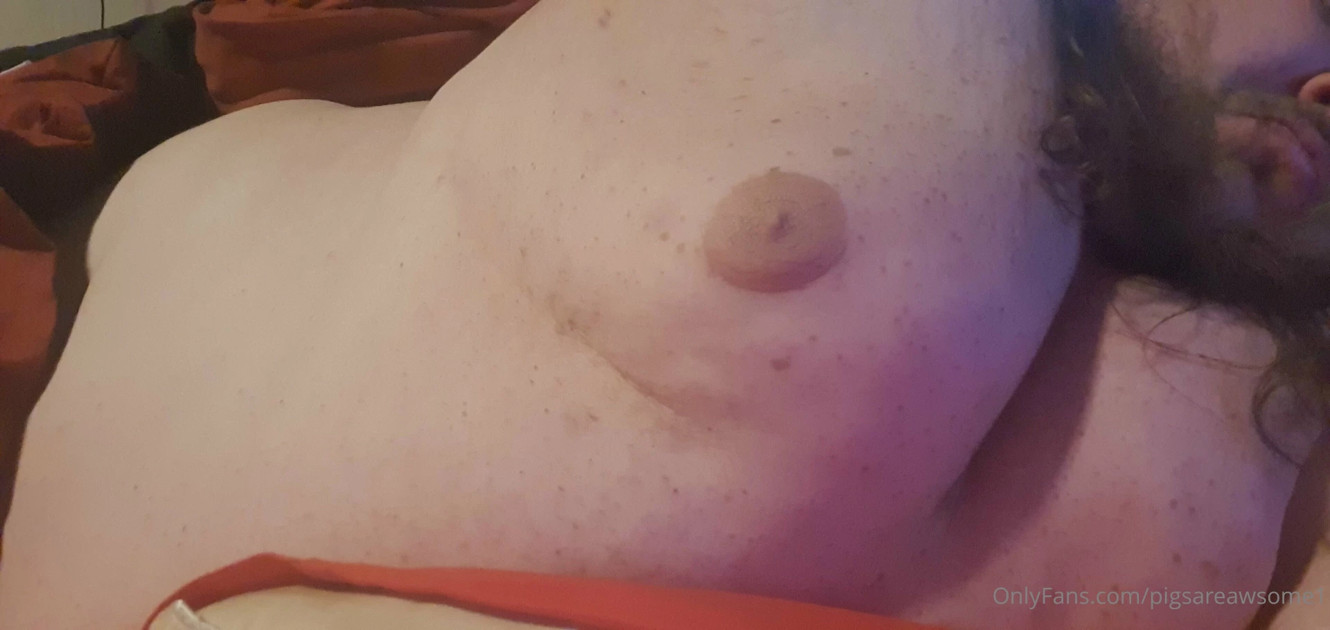 Pigsareawsome1 part 5 