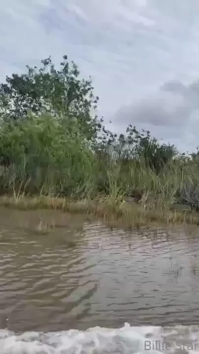 Today i visited everglade park and it was so beautiful place to be part 1 