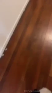 Imagine coming around the corner and bumping into this