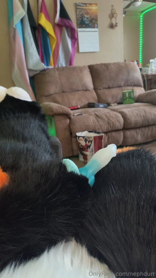 Had a bit of fun just taking pics the other day 