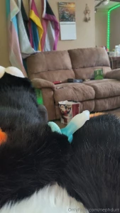 Had a bit of fun just taking pics the other day