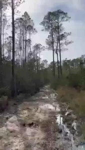 Riding dirty part 14