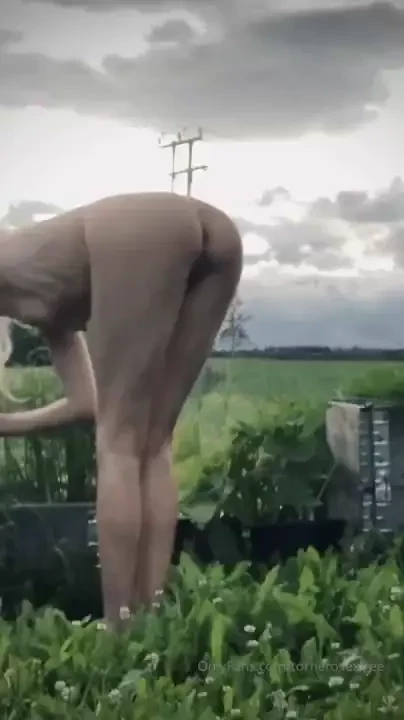 It s a wonderful feeling to pick your own vegetables 