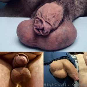 Suck my balls slut