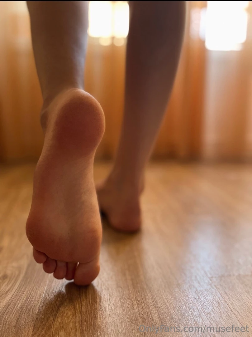 Musefeet 